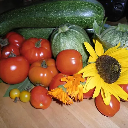 Le Pre Marie Bed & Breakfast Jans