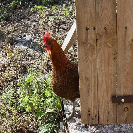 Bed & Breakfast Le Pre Marie *