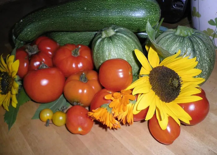 Le Pre Marie Bed & Breakfast Jans