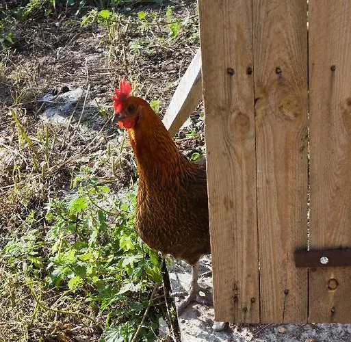 Bed & Breakfast Le Pre Marie *