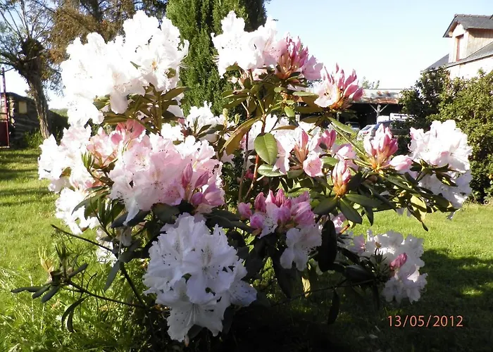 Le Pre Marie Bed & Breakfast *